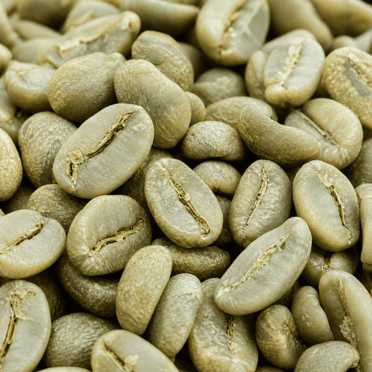 Bean 4