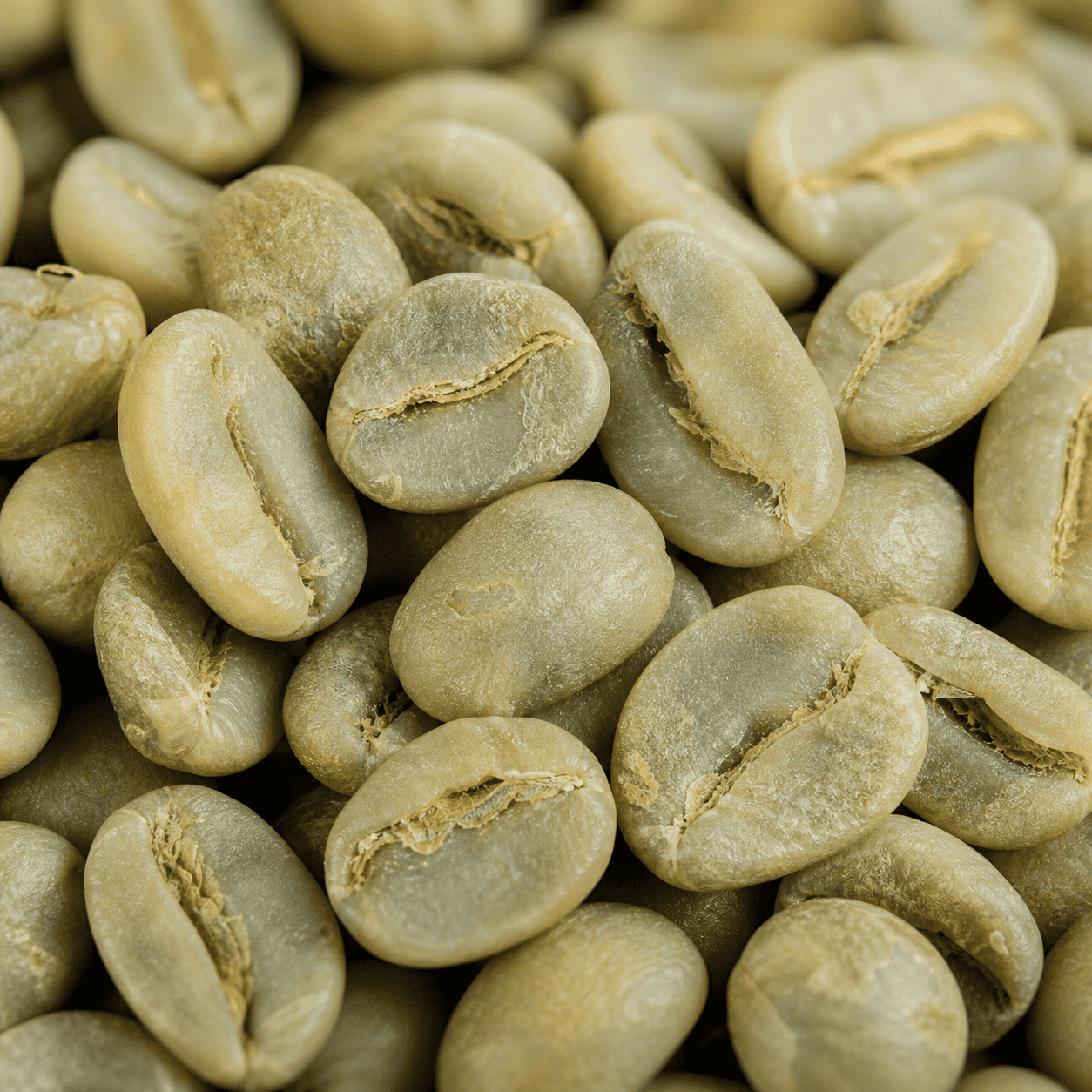 Bean 5