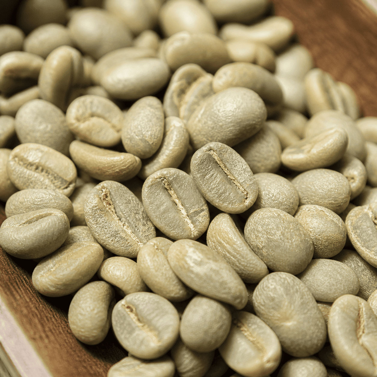 Bean 7